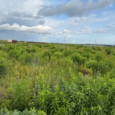 12,2 сотки, участок - изображение 1