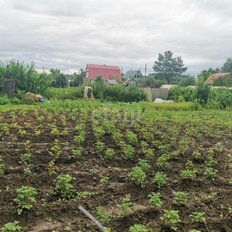 4 сотки, участок - изображение 4