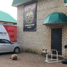 55,5 м², офис - изображение 2