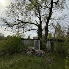 8 соток, участок - изображение 5