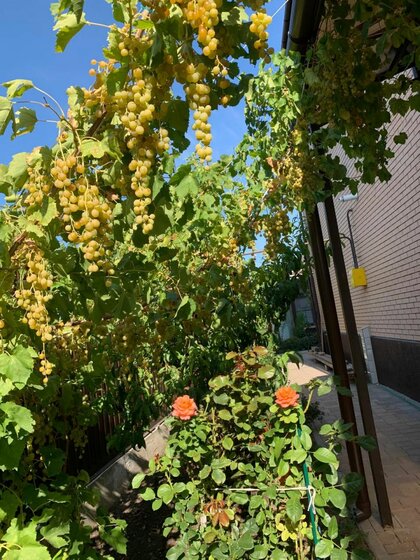 95,7 м² дом, 47 соток участок 1 450 000 ₽ - изображение 54