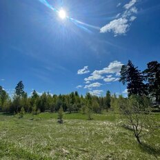 6 соток, участок - изображение 5