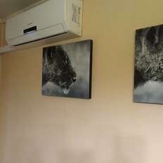 Квартира 31 м², 1-комнатная - изображение 4