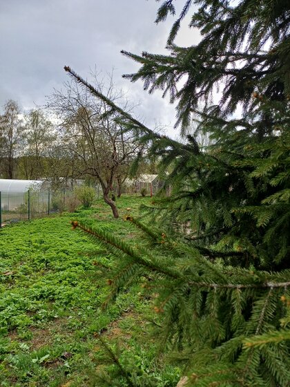 159,3 м², 3-комнатная квартира 23 890 000 ₽ - изображение 14