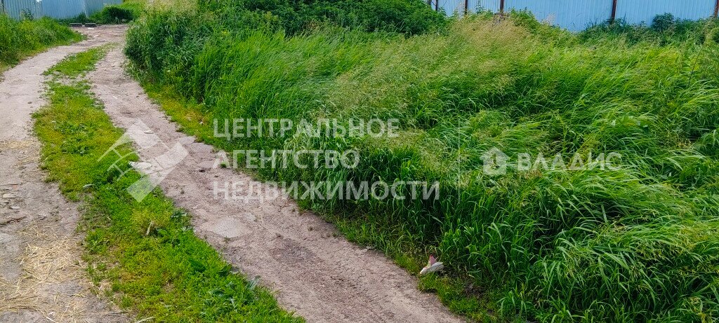 11,7 сотки, участок 970 000 ₽ - изображение 43