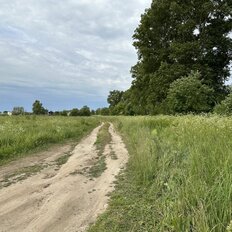 8 соток, участок - изображение 5