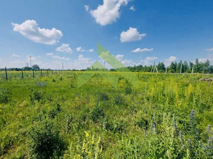 25 соток, участок 700 000 ₽ - изображение 14