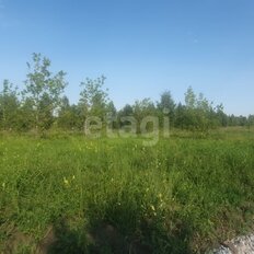 10,9 сотки, участок - изображение 4