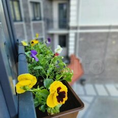 Квартира 40 м², 1-комнатная - изображение 5