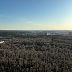 Квартира 30 м², студия - изображение 5