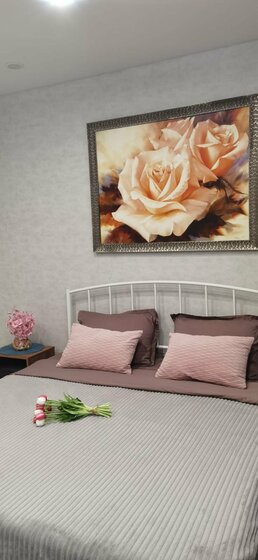 37,7 м², 1-комнатная квартира 3 000 ₽ в сутки - изображение 51