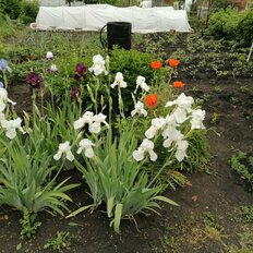 дом + 4,2 сотки, участок - изображение 4