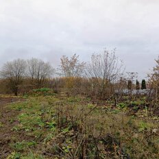 15 соток, участок - изображение 5