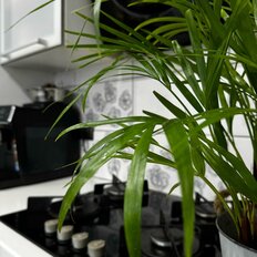Квартира 78,4 м², 3-комнатная - изображение 3