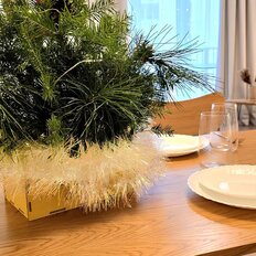 Квартира 50 м², 2-комнатная - изображение 4