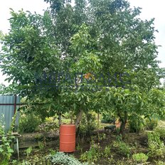 дом + 5 соток, участок - изображение 1