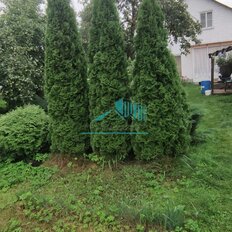 дом + 12 соток, участок - изображение 3