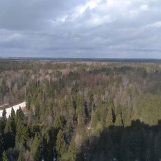 Квартира 78,9 м², 3-комнатная - изображение 5