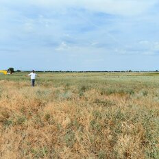 6,3 сотки, участок - изображение 2