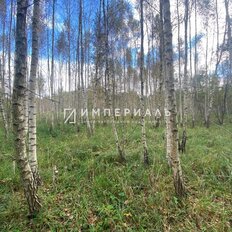 1 га, участок - изображение 4