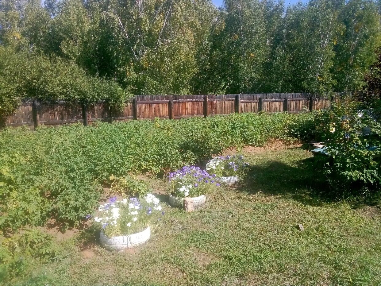 Дом 16 м² в СНТ Багульник-2 — фото 3