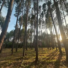 8 соток, участок - изображение 5