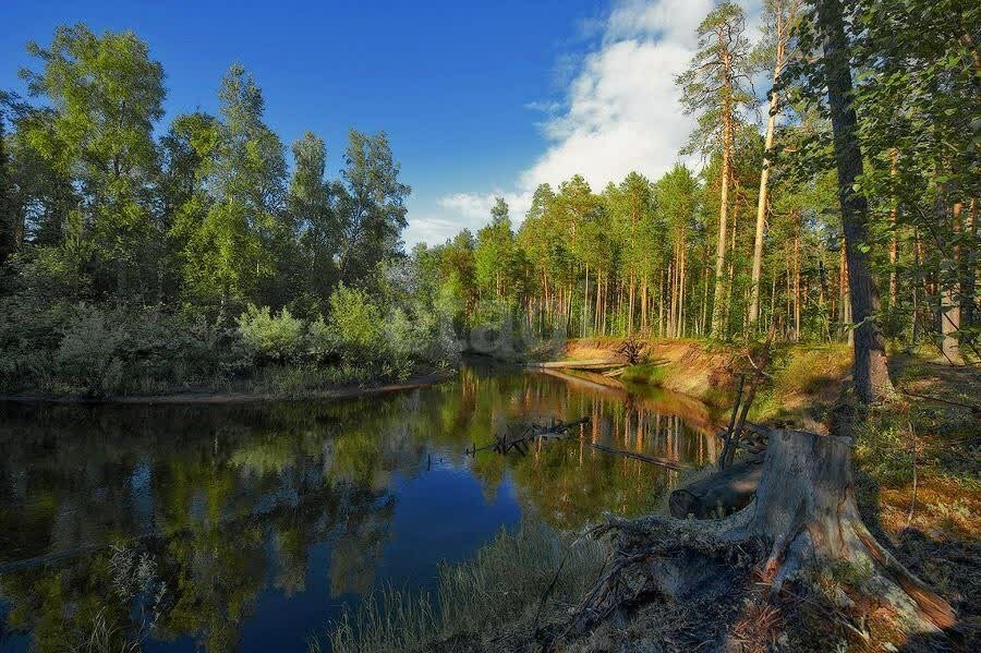 Дом 2-комн. 40 м² в СТ № 46 Урожай — фото 2