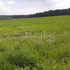 6 соток, участок - изображение 2