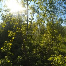 7,8 сотки, участок - изображение 3