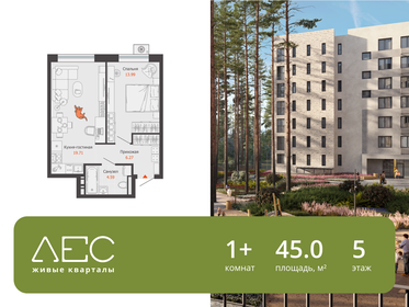 Квартира 45 м², 1-комнатная - изображение 1