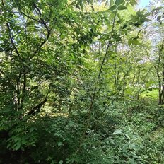 11,3 м², комната - изображение 4