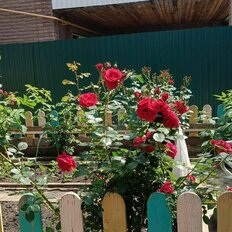 дом + 3 сотки, участок - изображение 2