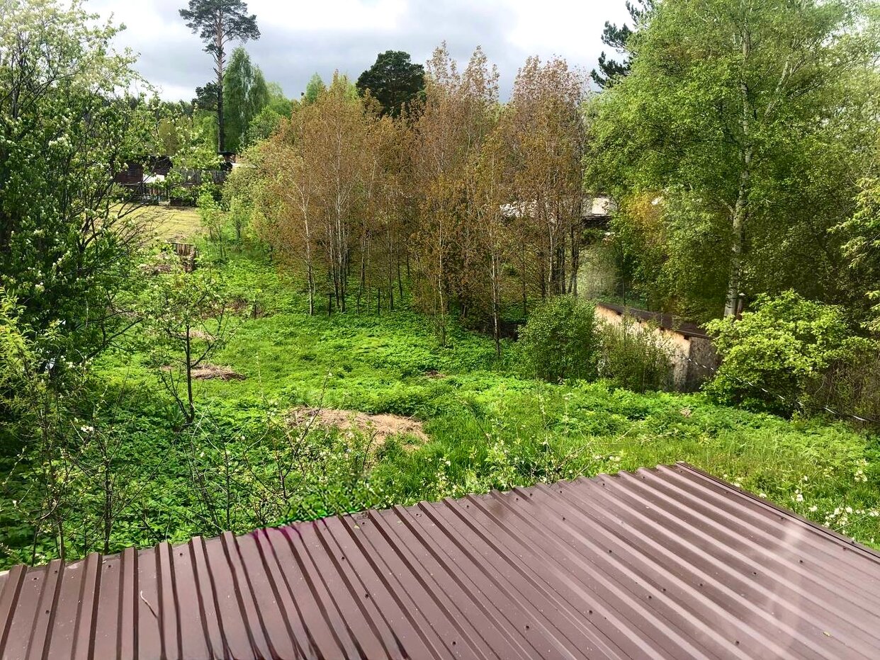 Дом 2-комн. 45 м² в посёлок Копылово — фото 11 из 15