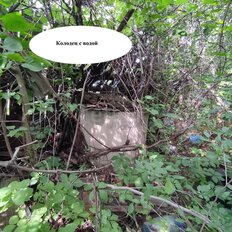 6,5 сотки, участок - изображение 5