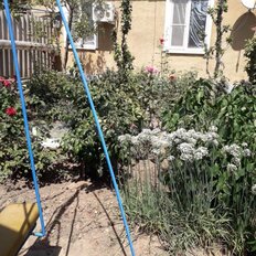 дом + 36 соток, участок - изображение 3