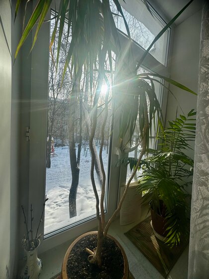 40 м², 1-комнатная квартира 4 600 000 ₽ - изображение 26