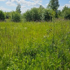 12 соток, участок - изображение 1