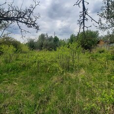 12 соток, участок - изображение 3