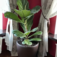 часть дома + 4 сотки, участок - изображение 5