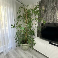 Квартира 54,3 м², 3-комнатная - изображение 2