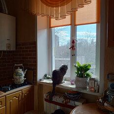 Квартира 36,8 м², 2-комнатная - изображение 4