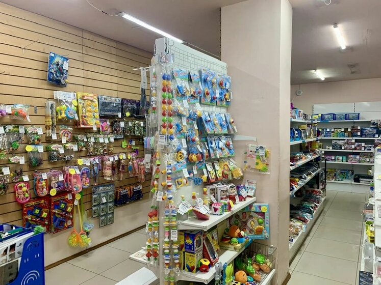 63 м², торговое помещение 56 700 ₽ в месяц - изображение 47