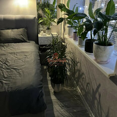 Квартира 30,7 м², студия - изображение 5