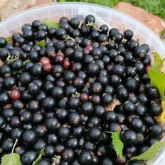 Квартира 78 м², 3-комнатная - изображение 5