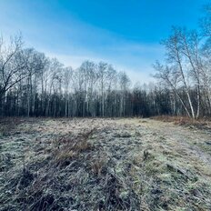 45 соток, участок - изображение 4