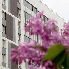 Квартира 43,6 м², 1-комнатная - изображение 4