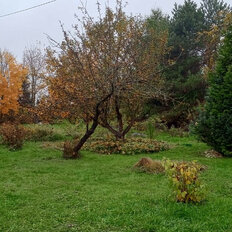 11,7 сотки, участок - изображение 5