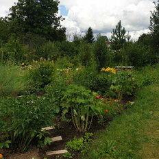 дом + 10,5 сотки, участок - изображение 3