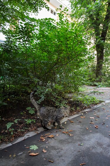 57,9 м², 3-комнатная квартира 34 600 000 ₽ - изображение 79