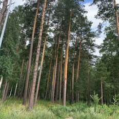 Квартира 72,2 м², 3-комнатная - изображение 1